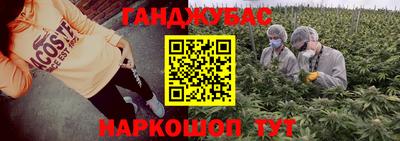 шишки Кимры
