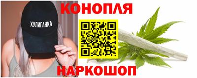 шишки Кимры