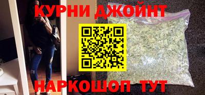 шишки Кимры