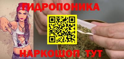 шишки Кимры